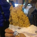 그레잇콘택트 | [대만여행] 대만여행 1일차 / 스린야시장 가는법 - 지파이, 왕자치즈감자, 권씨아저씨네
