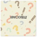 키즈웨일즈 | 세부 다이빙샵 추천 숙소 비교 내돈내산 정보 총정리