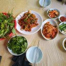 만물농장 이미지