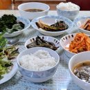 마는끼니 이미지