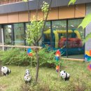 하늘채어린이집 이미지