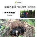 혜전대학교팀 평택비전고등학교팀 노유진님팀개성행복님 18일 봉사 감사드립니다 이미지