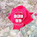 아내의정원 - 완도군 중도길 16-50 | 아내의정원