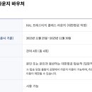 스카이 P.P 이미지