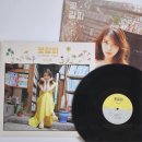 꽃갈피 - 화성시 | [ LP ] 아이유 - 꽃갈피 LP 후기