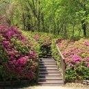 북서울꿈의숲(주차장) 이미지