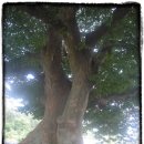 청용1리 이미지