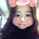 모범카공업사 이미지