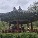 진말초등학교 | [대회 후기] 2025년 한국초등연맹회장기 태권도대회 참가 후기