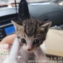 구암동583 이미지