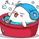 신돈지메