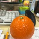 샤브향 구미문성점 이미지