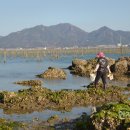 이야기가있는바다 이미지