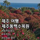 12/4 동백 선캐쳐 | 제주동백수목원 3월 제주도 가볼만한곳 입장권 가격 할인 및 방문 후기 비교