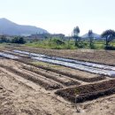 송백농장2 이미지