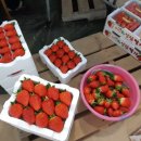 논실농장 이미지