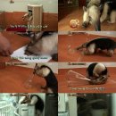 대단해농장 이미지