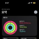 강생이천국 이미지