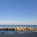 스테이 델라마레 이미지