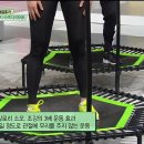 허브앤점핑다이어트