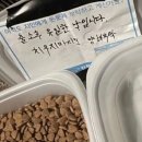 네;일기