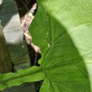 나래민박 이미지