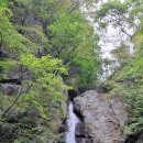 통고산자연휴양림 이미지