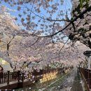 웅남로-1 이미지