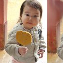 단풍나빌레라 조형물 | 속초 설악산 케이블카 예약 및 이용 꿀팁: 아이와 함께하는 강원도 가족여행 필수 코스