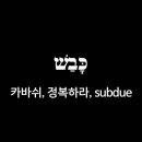 바쉬 이미지