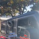 개미용실 이미지