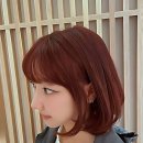 경기중앙동물약품 | 인생 머릿결 구원템 발견함! 로드28 후기 투척