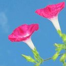 수지 9988 건강 리더 토의 (4.20) 이미지