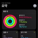 조짜장 | 신혼여행_4. 파리스냅촬영, 루브르박물관투어, 몽마르트야경, 파리맛집추천