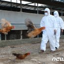 김대홍축산 이미지