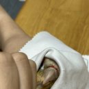 덕천동물의료센터 이미지