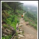 중국 여행 사진 몇장.....6 차마고도 옥룡설산 과 호도협 2 이미지