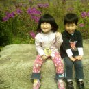 키드랜드어린이집 이미지