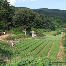 범방동 삼층석탑 이미지