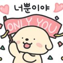 포이메이크업