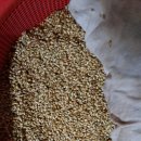 동처농장 이미지