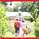 신원덴탈(주) 이미지