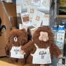 11545-01-53-17 | 제주 겨울 여행 ③ 세화항 해돋이 · 카멜커피 제주 · 오브젝트 제주 · 다시 김녕