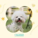 헬로펫 효자점 이미지