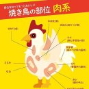 한일프라자 앞 횡단보도 | ぎや(やきとりの扇屋) 甲賀水口店 (코카미나구치덴) 후기! 식사 류와 다양한 술 종류, 닭꼬치 등을 판매...