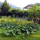 신기서길 이미지