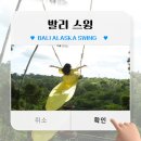 (발리 스윙) BALI ALASKA SWING 방문 후기