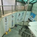 팀식스아쿠아키즈 이미지