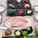 안면도바다수산