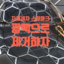 빛차올태풍태권도장 | [수원 영통 망포 원천동 광택전문]도장면 스월마크 심한차량 올뉴 쏘렌토 크리스탈광택 유리유막제거...